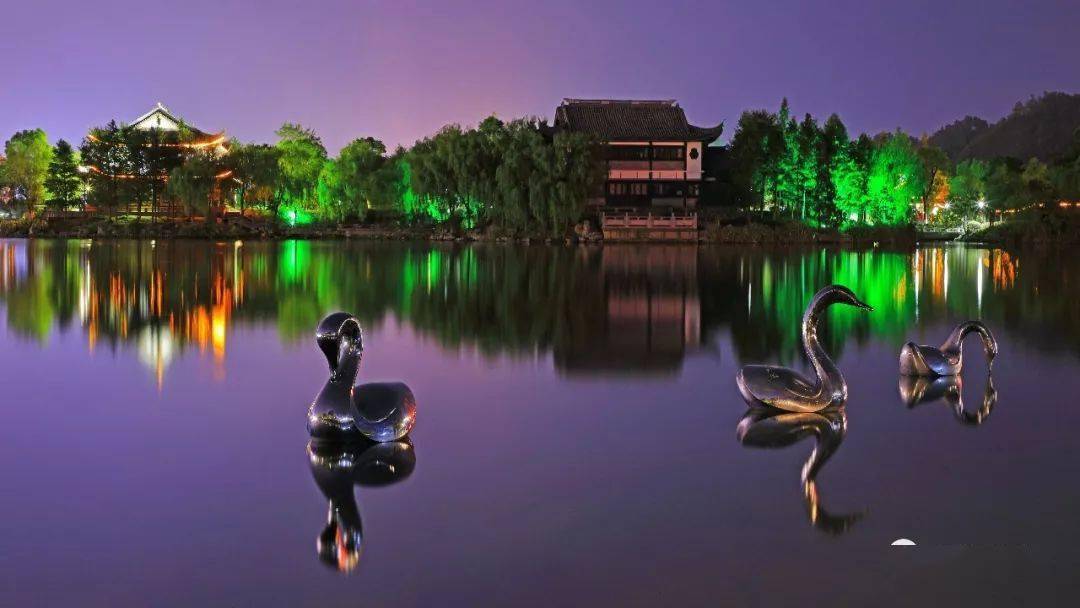 临海的夜景图,每一张都值得收藏!_东湖公园