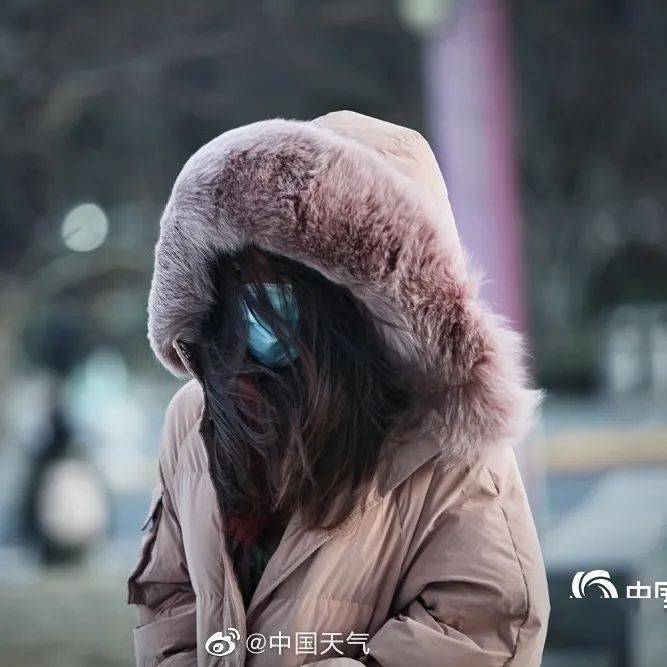 北京有多冷?比北极还冷!冻傻的网友太搞笑