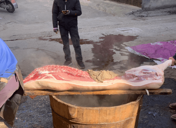 外婆家杀猪了260多斤的肉快来吃杀猪饭吧