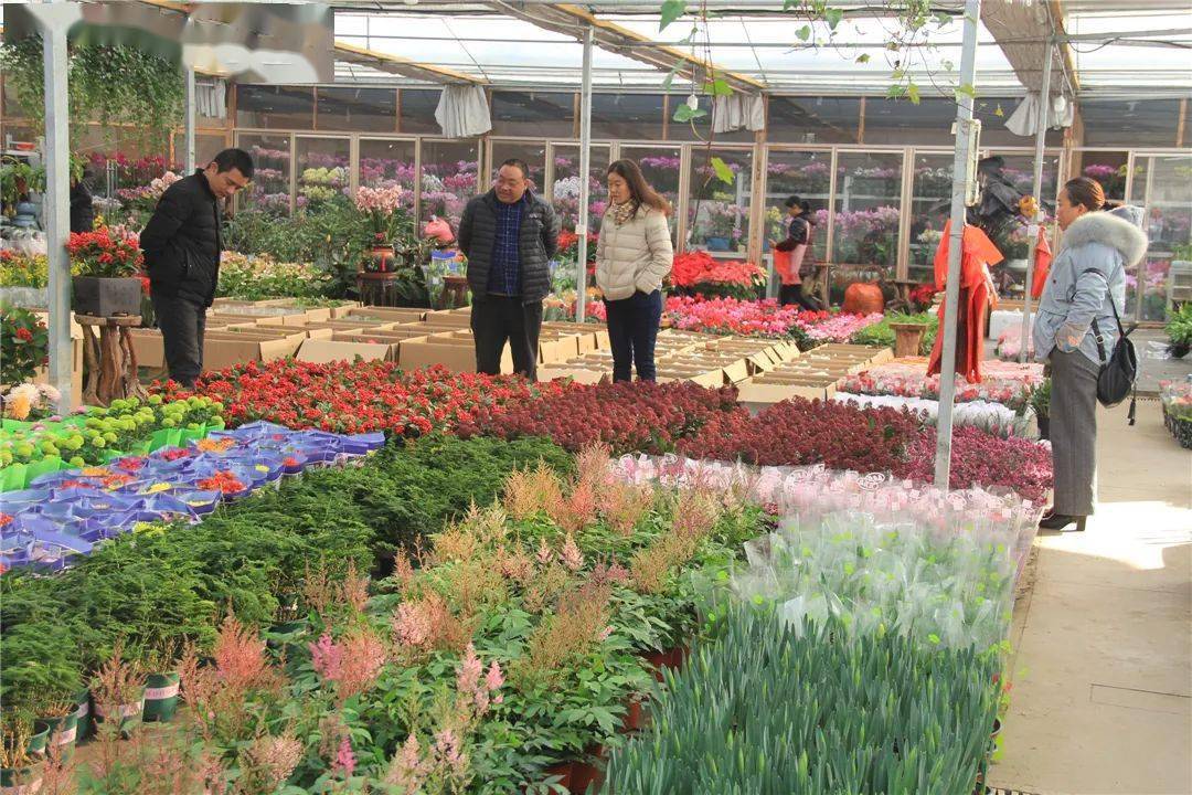 年宵花市谷里花木园花卉市场正在进行中