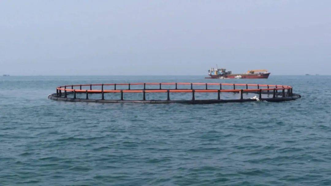 北海这片海域晋升国家级海洋牧场示范区