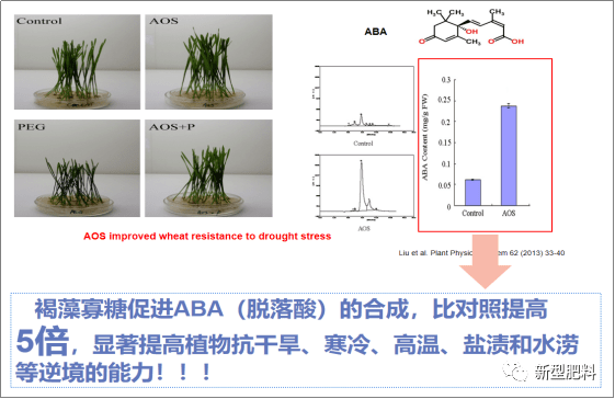 褐藻寡糖(aos)被证明是植物体内重要的信号分子,可促进植物的生长