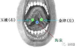 【桂林诚敬书院】修行秘密:吞津(唾液)对人体的重要性