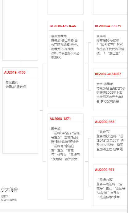 北京名家京大鸽舍王文君桑杰士闪电王子近亲回血,盖比