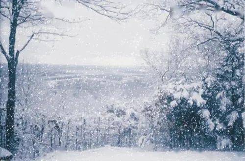 睡前陪孩子听首诗郑板桥咏雪