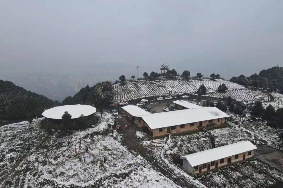 四川宜宾多少人口_四川宜宾照片