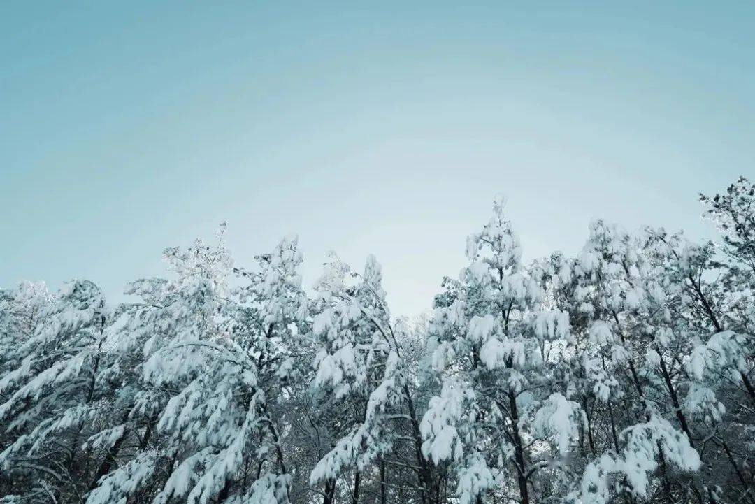 c8fade153a1c4c2fa62bdc47002f6372.jpeg