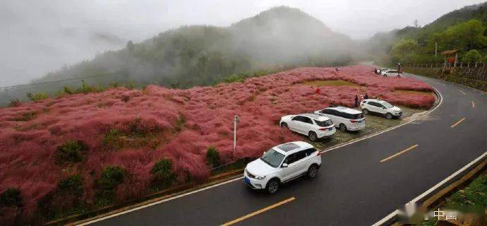雅安人均gdp_雅安职业技术学院(3)
