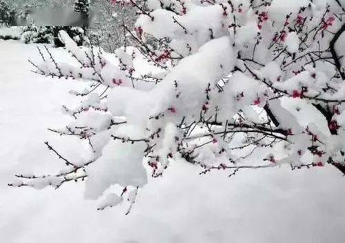 睡前陪孩子听首诗 | 郑板桥《咏雪》