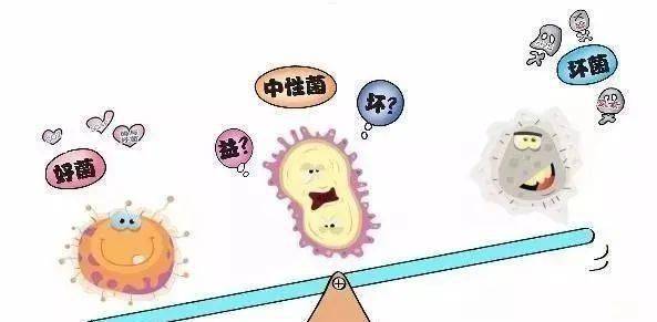 减脂为什么要坚持三个月以上 da500f757cf24dfd9f39cb95721ba883.jpeg