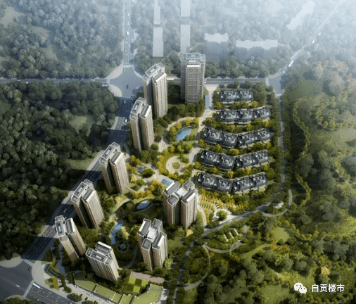 自贡人口2021_自贡2021灯会图片