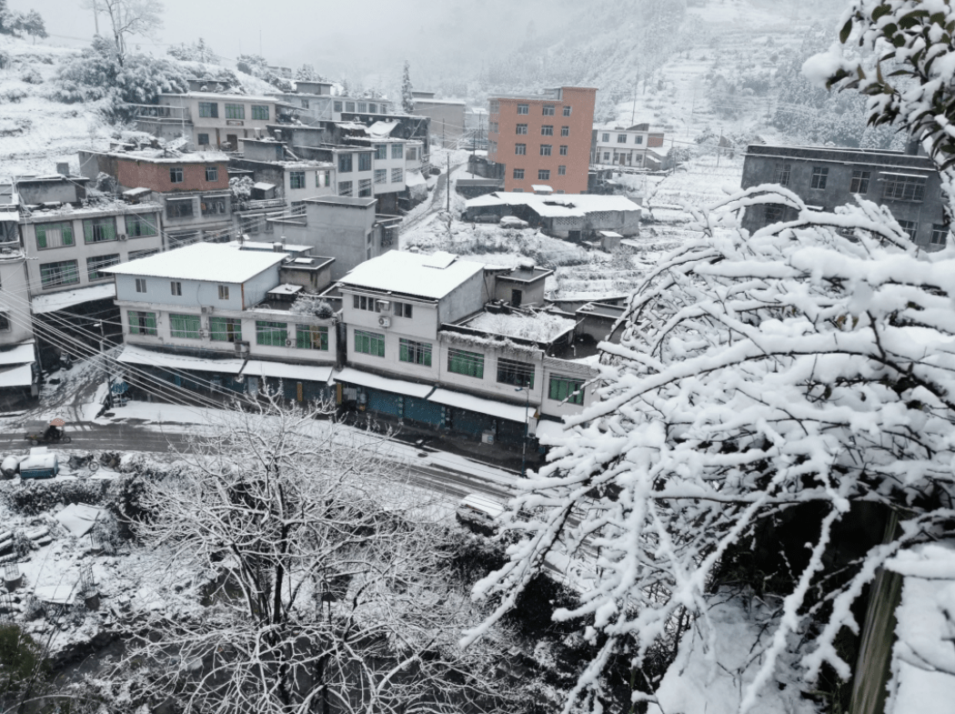 王家镇最大的一场雪据当地居民称,这是近几年来一个镇子都白了!