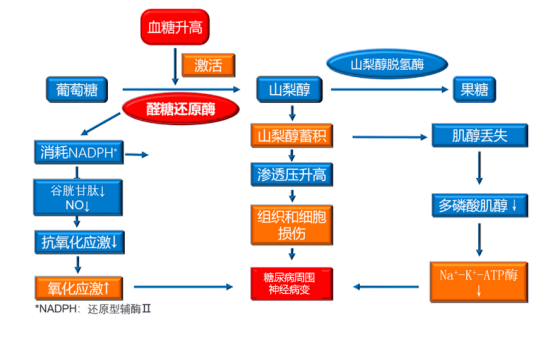 糖尿病足成了「定时炸弹」?不要慌,拆弹从「导火线」下手!