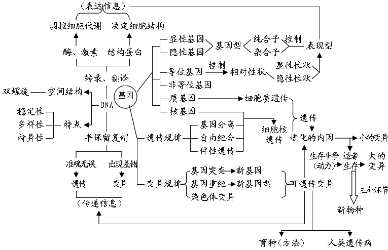 高中生物知识结构图全汇总!一目了然,火速收藏!