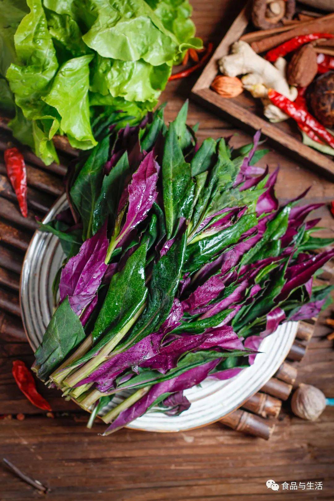 四川人爱吃的“血皮菜”是怎样一种蔬菜？血皮菜到底有没有毒？_食用_人体_地区