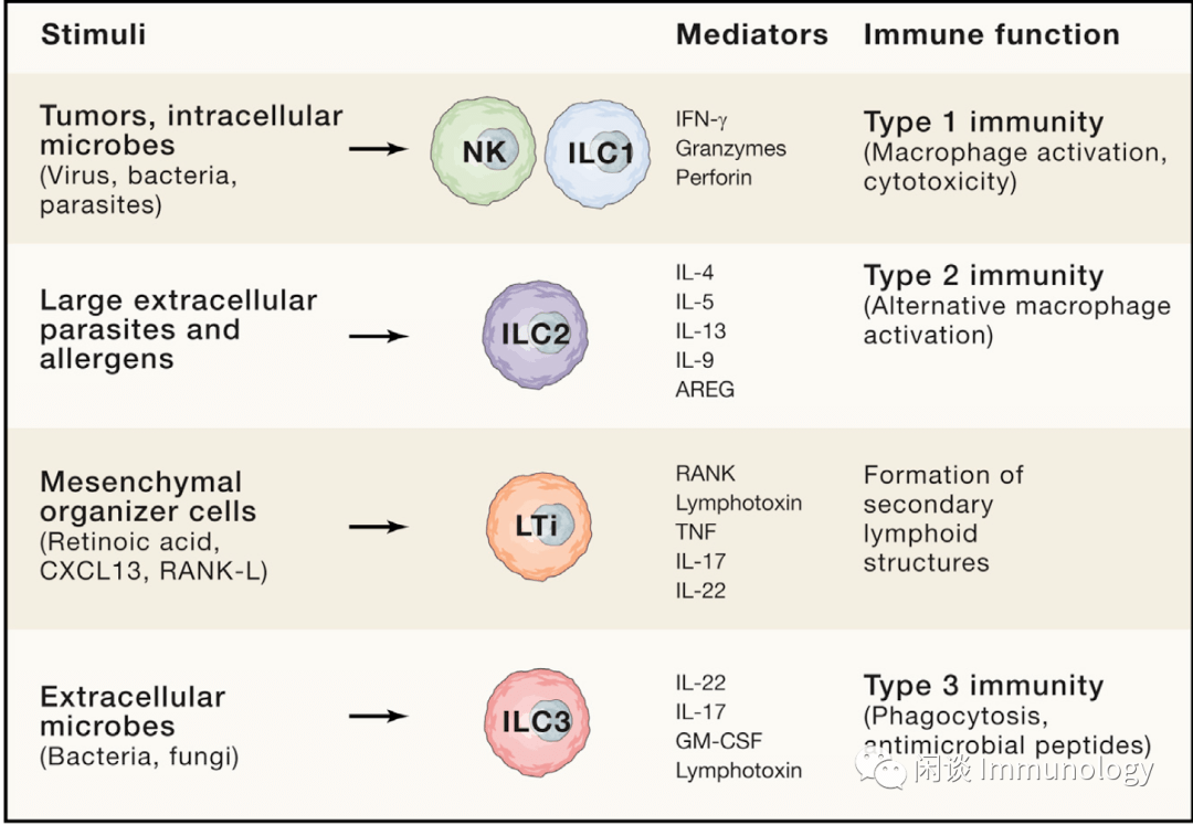 先天淋巴细胞（ILCs）| 免疫学专题-搜狐大视野-搜狐新闻