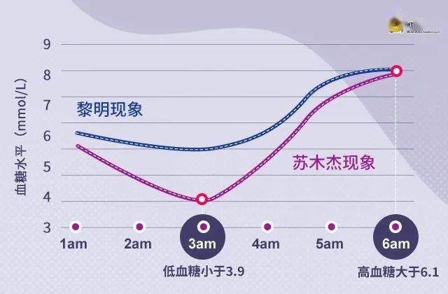 高血糖管理(四|都是晨起血糖高,原因却不同,解读黎明现象和苏木杰