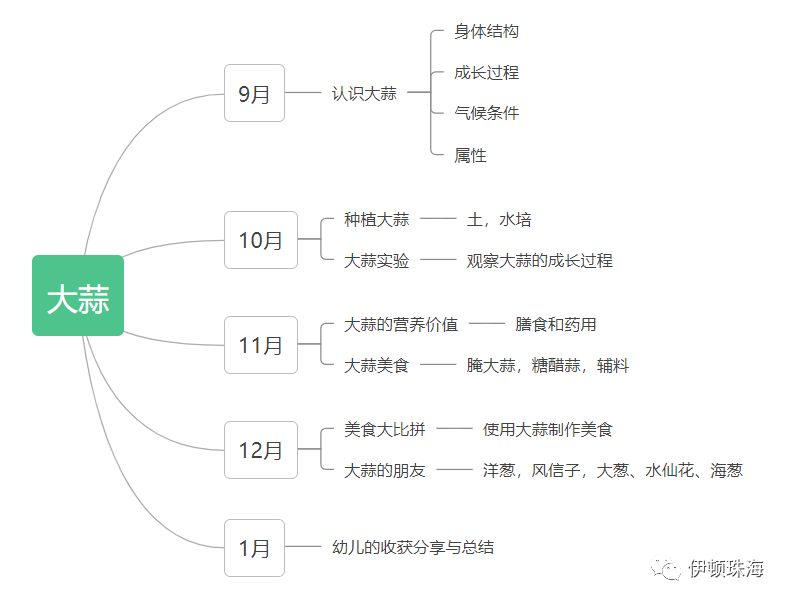 预设网络图为方便幼儿更加直观的观察,对比了解大蒜的生长过程,米兰班