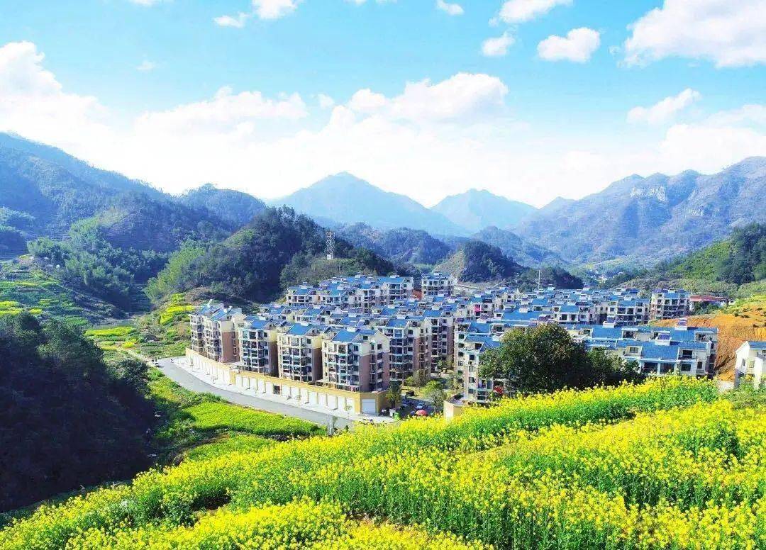 柏加王村人口_蒙城县潘王村(3)