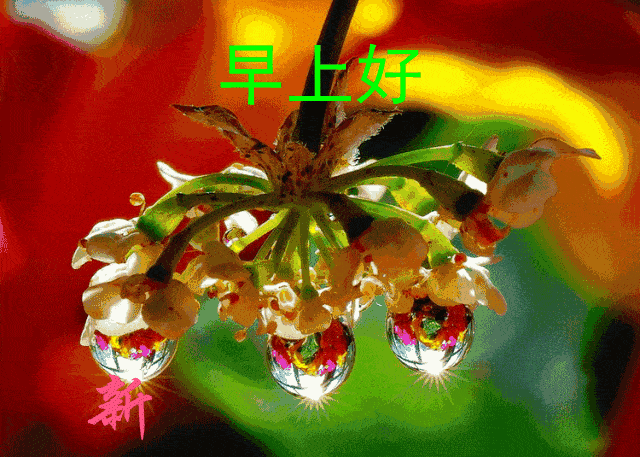 1月12日新版早上好祝福漂亮图片带字 大家早上好问候语和暖心的话