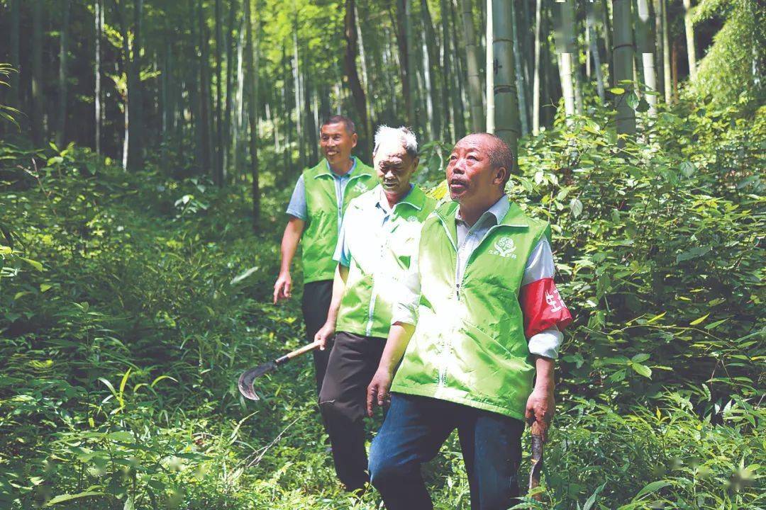 江西省遂川县碧洲镇生态护林员正在巡山护林 方院新摄