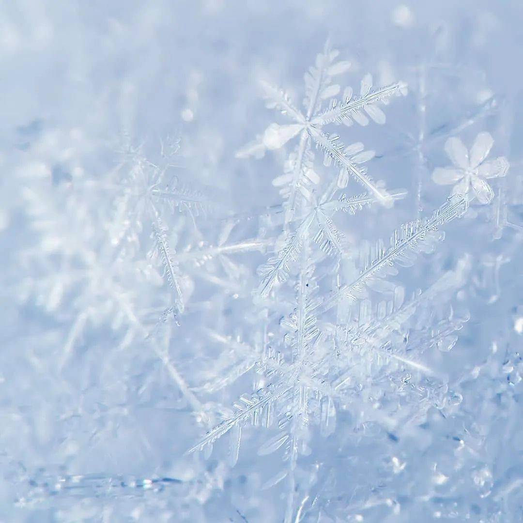 冬天是什么形状?让它来告诉你_雪花