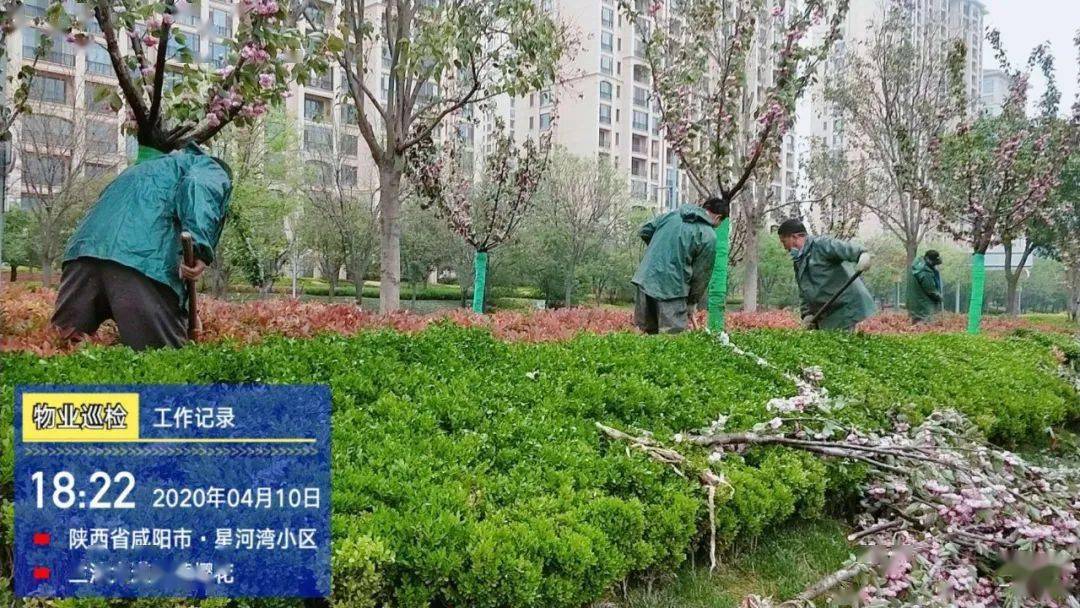 亮点|物业园林绿化整改提升小区环境品质