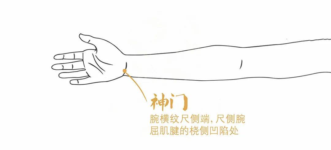 2神门穴神门穴属手少阴心经,位于腕部,腕掌侧横纹内侧端,内侧腕屈肌腱