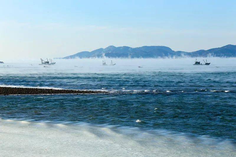 "海浩"是海雾吗?_青岛