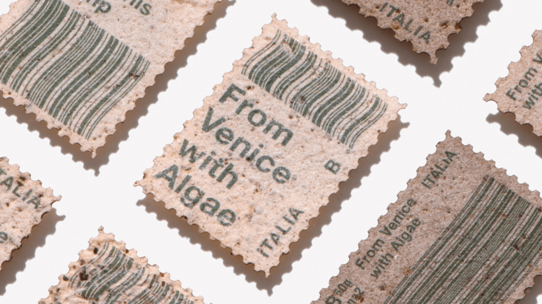 b110718546f340a39a171117a6a8e17c.png