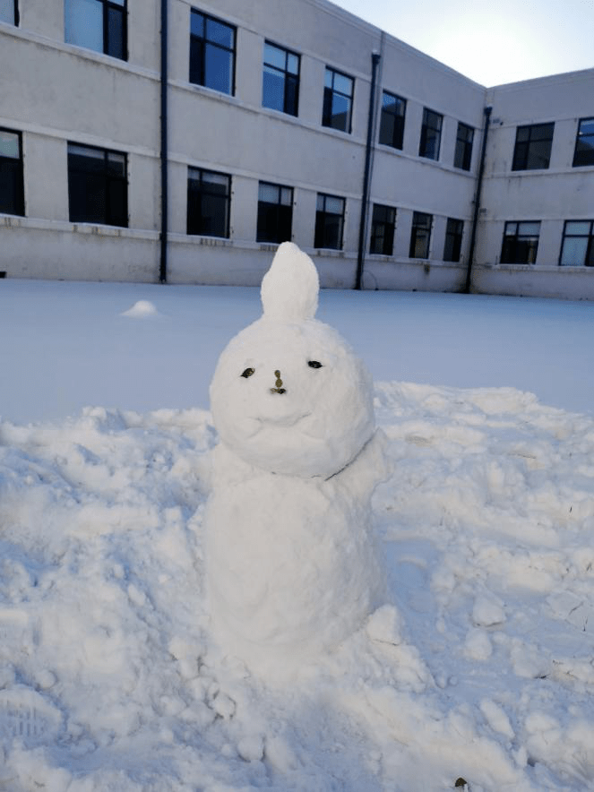 ibm1904班在操场上举行打雪仗&堆雪人比赛