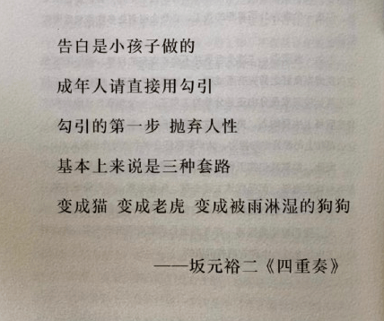 一句敌万句 日剧金句王 坂元裕二 他不止写了 猫 老虎 被雨淋湿的狗狗 四重奏