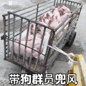 ea2abce93d6a4e72baa51c366a21d6e1.gif