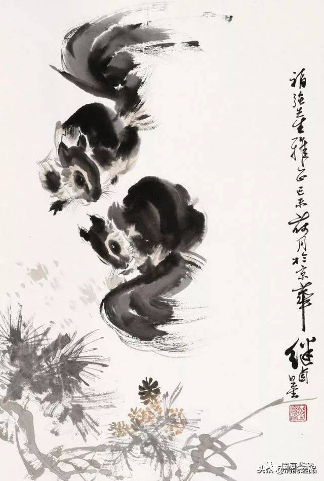 刘继卣《松鼠》欣赏_手机搜狐网