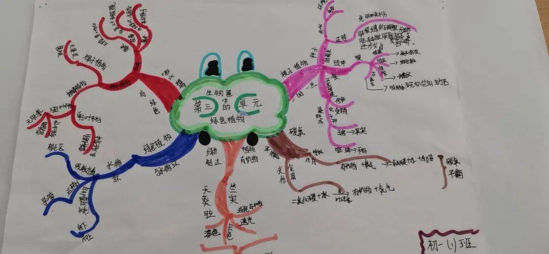 【中学部】形成于思 绘聚于图——初一年级生物学科思维导图系列活动