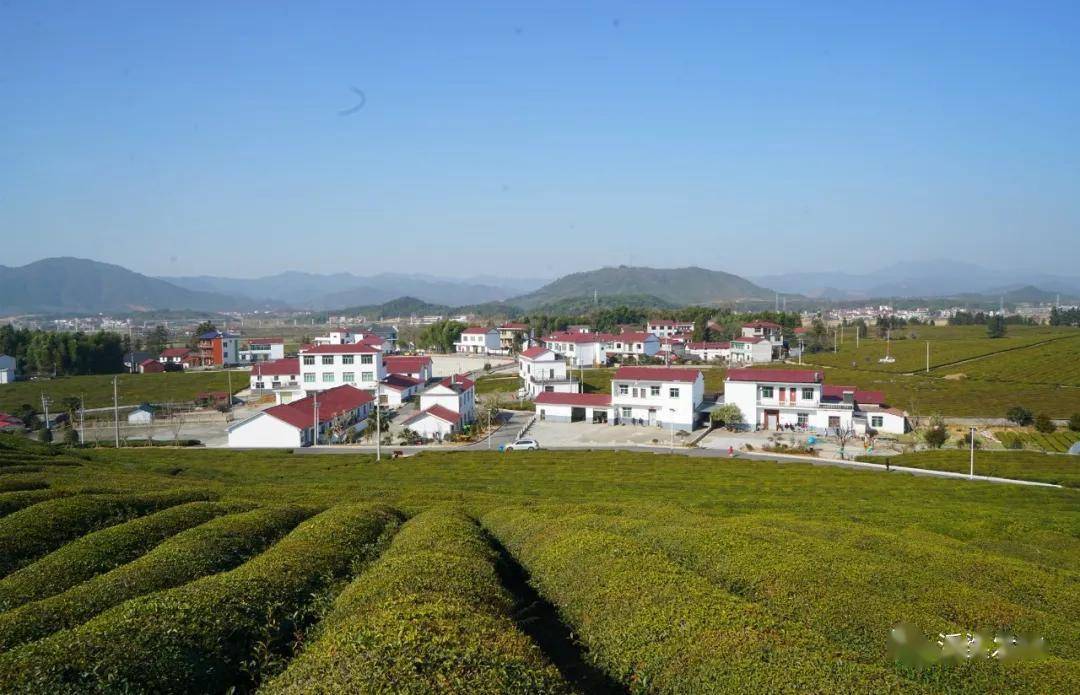 中正县人口_中正剑(2)