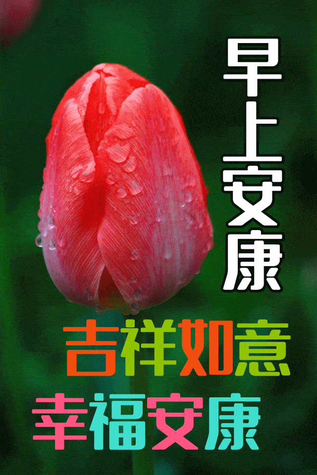 640_960 竖版 竖屏