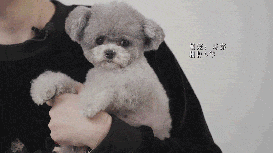 2021 生活在城市里 总感觉节奏有那么一丢丢的快 每天忙完回家  总想