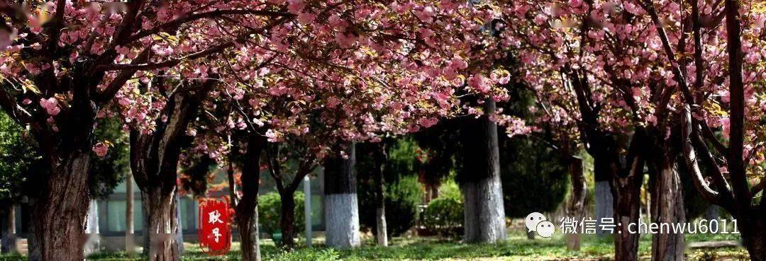 北京工业大学耿排名_艺考面对面北京工业大学耿丹学院:2021年预计在京招
