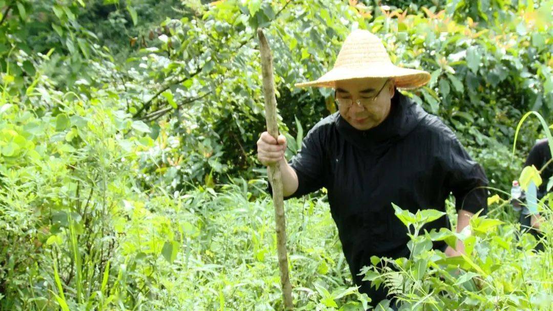 艰险,追寻着野生药材的足迹,执着于仁心医道的初心,这就是中医人