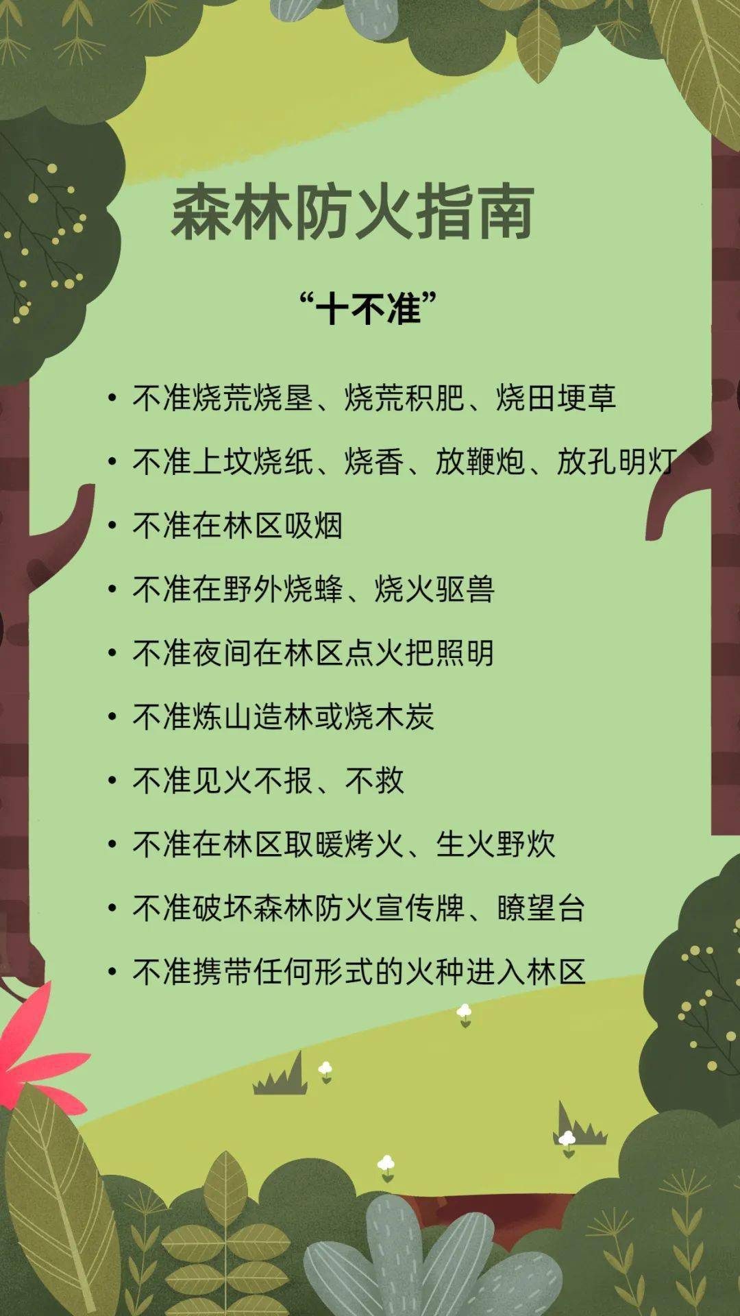 森林防火"十不准"