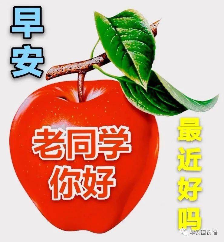 温馨的老同学早安问候图片祝福语,简单经典冬天天冷早晨好关心人的