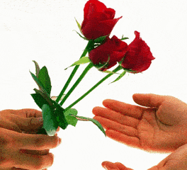 冬日微信群发晚安问候语 祝福动态图片带字!