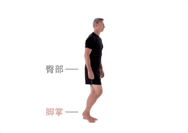 2.双脚原地弹跳练习