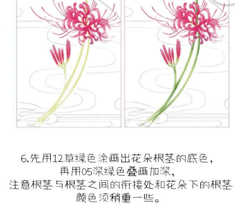 彩铅花卉教程绝美彼岸花
