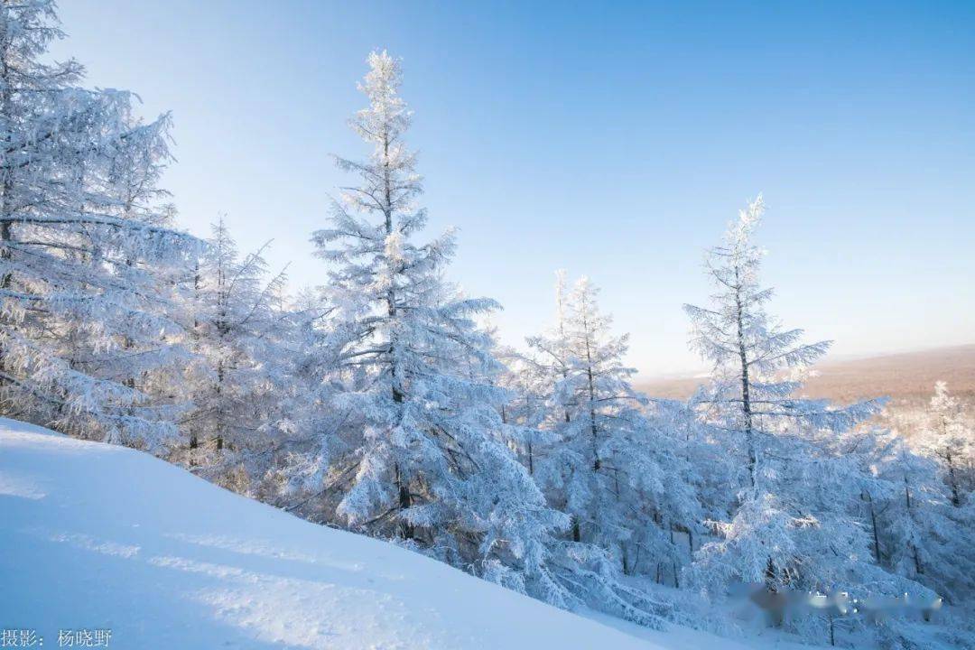 那雪白雪白的世界虽凉了空气,却温暖着人心.