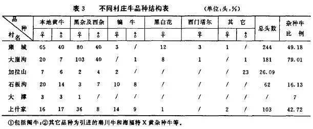 用黑白花和西门塔尔改良本地黄牛效果调查