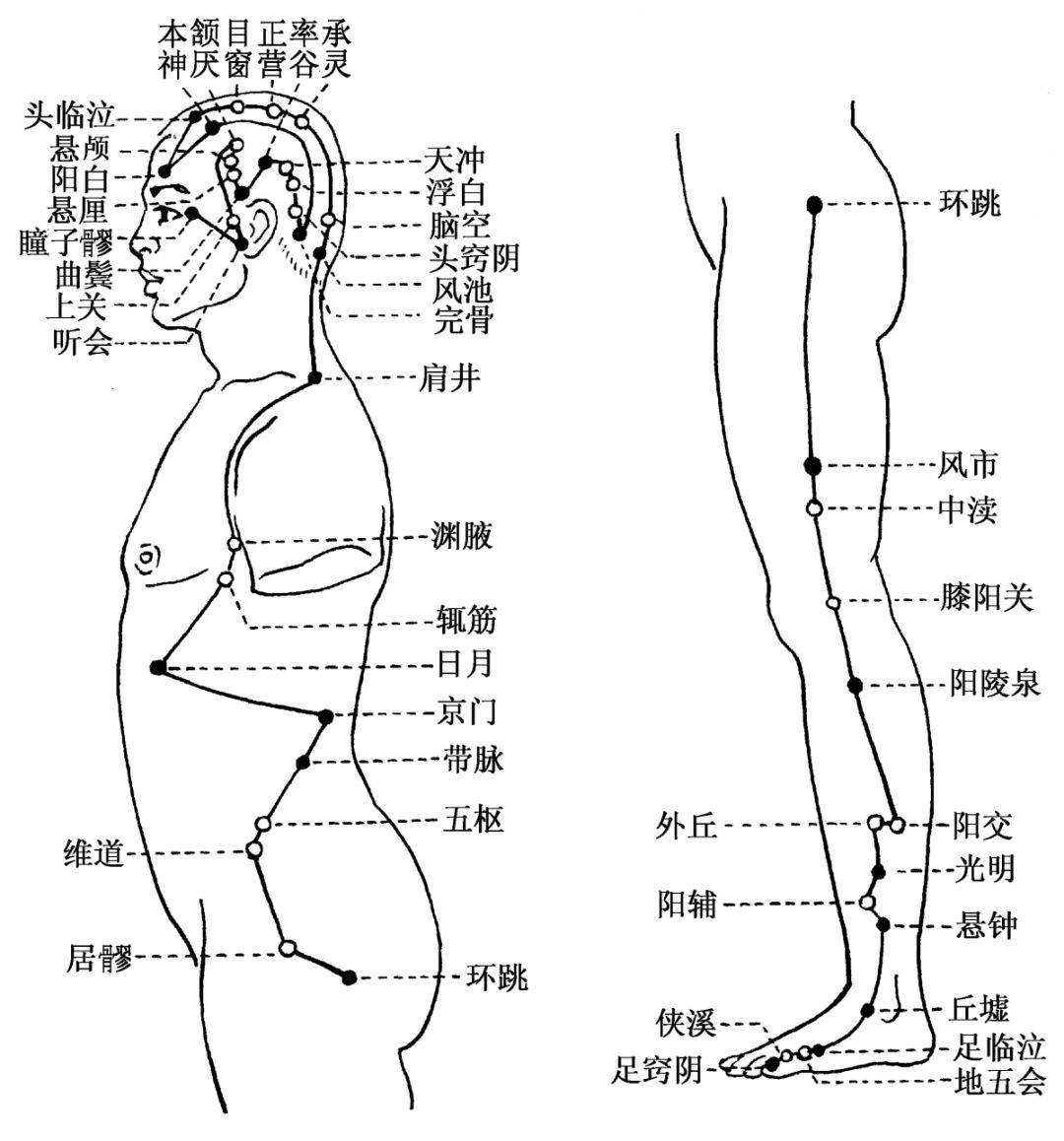 (2)双手交替拍打两侧足太阴脾经,从上到下,反复拍打5分钟,以微热为