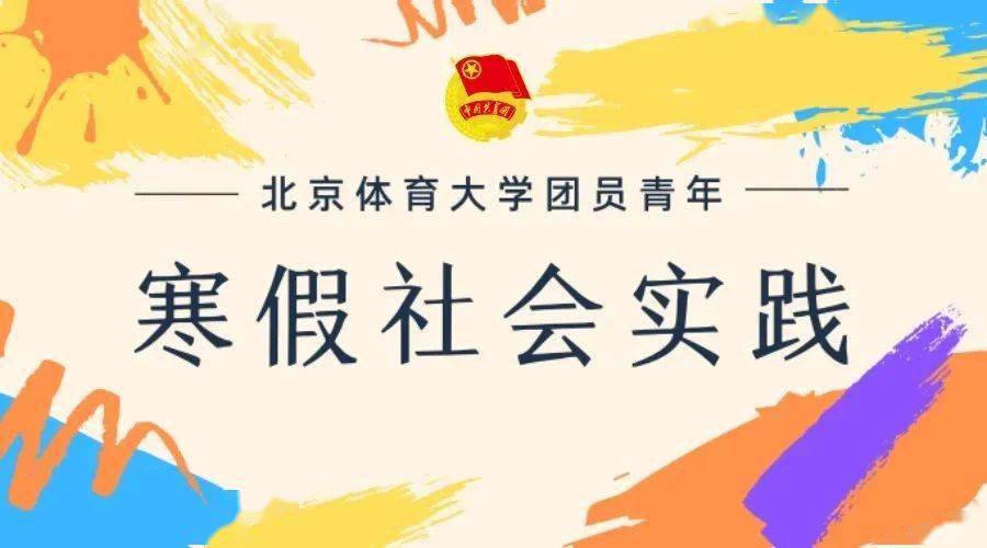 使命在肩奋斗有我北体团员青年寒假社会实践报道二