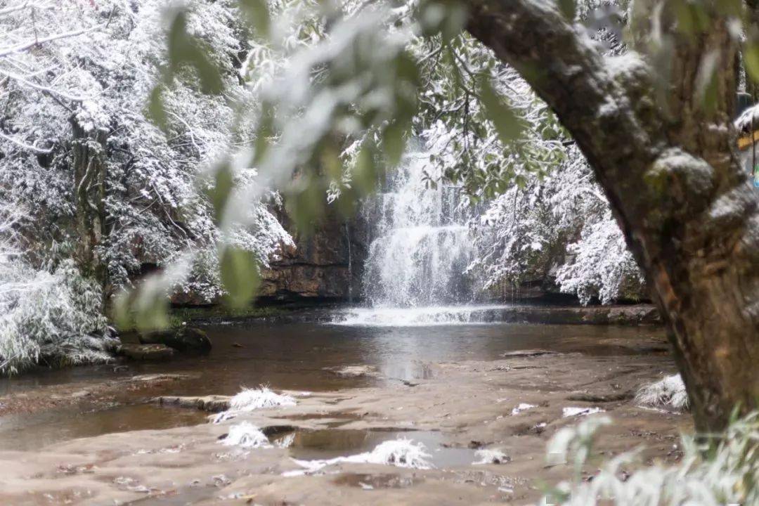 【自驾目的地】南国醉美雪景,昭通小草坝闻名的不止天麻!